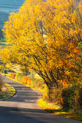 Scottish Highlands winding road in fall with colourful autumnal foliage, vibrant red, yellow and orange colours.