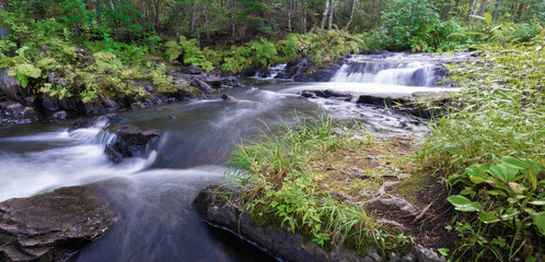 Waterfalls in a thick Maine forest