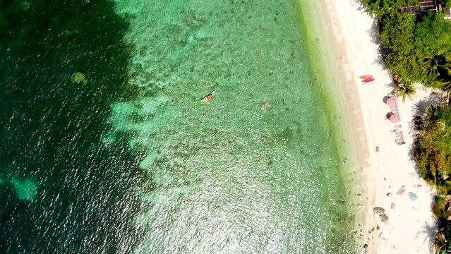 Aerial drone shot hovering over Sai some tourists at the beachfront who are paddling their kayaks in the crystal clear waters of Sai Daeng beach in Koh Tao island in Surat Thani province in Thailand.