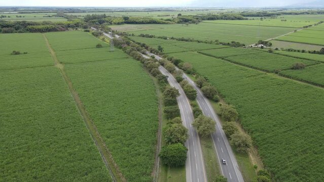 Eje Cafetero - Colombia 