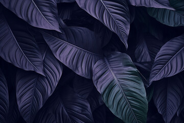 Tropical leaf, leaves collection for design with dark color, creative and minimal art nature background,decoration pattern, aesthetic look