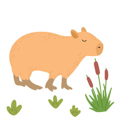 Capybara funny character in flat design. Cute capybara with flowers vector illustration