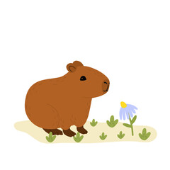 Capybara funny character in flat design. Cute capybara with flowers vector illustration