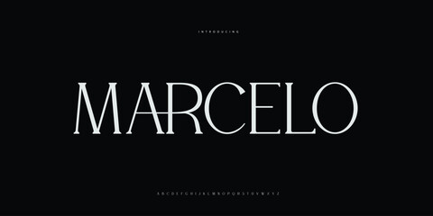 Obraz premium Elegant Font Uppercase Lowercase and Number. Classic Lettering Minimal Fashion Designs. Typography modern Serif fonts regular decorative vintage concept. vector illustration