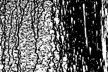 Dripping paint overlay texture for your design. EPS8 vector. A grungy, distressed overlay texture. 