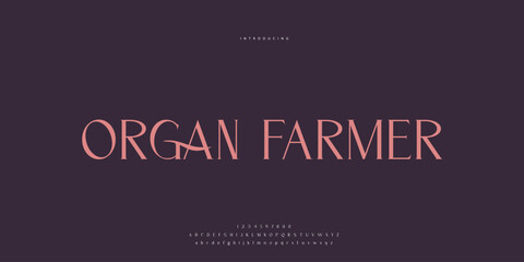Elegant Font Uppercase Lowercase and Number. Classic Lettering Minimal Fashion Designs. Typography modern Serif fonts regular decorative vintage concept. vector illustration