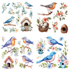 Fototapeta premium set of dove bird watercolor hand draw with isolated transparent background.