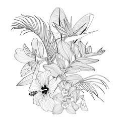 Floral tropical composition. Bouquet with hand drawn tropical flowers and plants. Monochrome line illustration in sketch style.