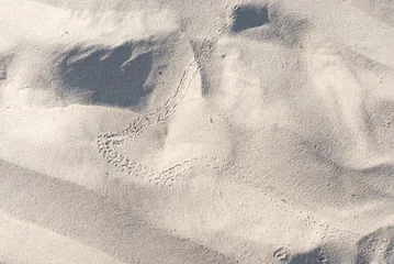 Fotobehang Background, coastal.  Animal tracks in the sand. patterns, footprints.  © Deborah
