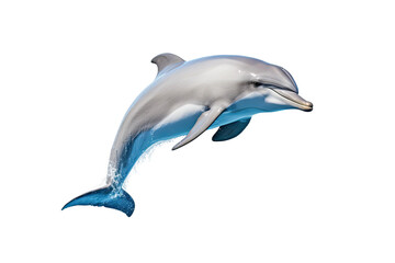 Dolphin Isolated on Transparent Background, PNG, Generative Ai