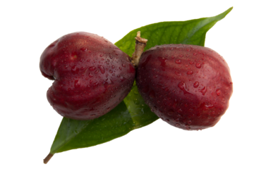 Pomerac fruits (Syzygium malaccense) has other names are Malay Apple, Chompoo Mameaw, Rose apple. It's pear-like fruit with calyx attached to end of fruit, dark red color. On white background, PNG.