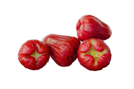 Rose apple fruits or Wax apple (Syzygium samarangense) with other names like Chompoo-ThabThimChan. It has smooth, glossy, red surface, sweet and crispy taste. On white background, PNG.