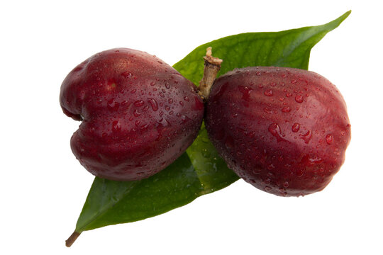 Pomerac fruits (Syzygium malaccense) has other names are Malay Apple, Chompoo Mameaw, Rose apple. It's pear-like fruit with calyx attached to end of fruit, dark red color. On white background, PNG.