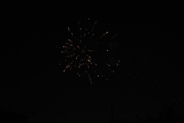 The fireworks lit up the sky