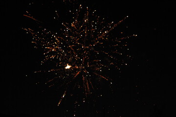 The fireworks lit up the sky