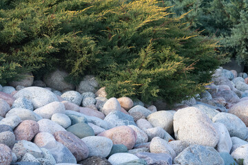Landscape design on stones with stones, beauty background.