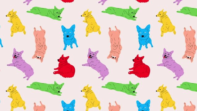 Cute Cartoon Colorful Characters Corgi Set. Old animation Loop Background. Video flat cartoon animation design element. 4K video footage