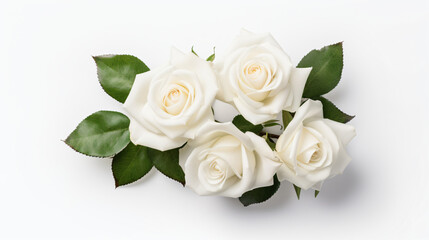 White rose flowers