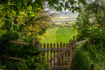 A wooden gate in the Sussex countryside, with farmland beyond