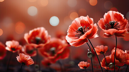 Beautiful field of red poppies on blur background