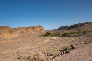 Fototapeta na wymiar Sahara Desert rocks next to an oasis in North Africa