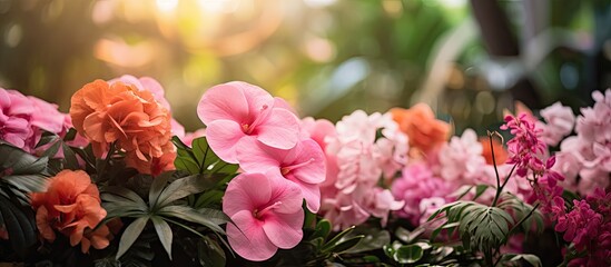 In the background of the lush garden a vibrant display of colorful flowers bloomed showcasing the beauty of nature in spring with the light illuminating the tropical pink and floral hues it