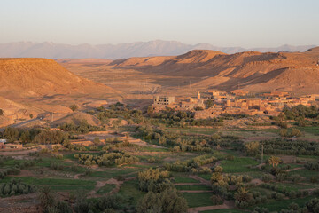 Naklejka premium Village in the green fertile riverbed of the Draa river in the Sahara Desert with typical architecture