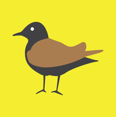 illustration of a bird