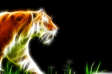 Tiger line art in neon style