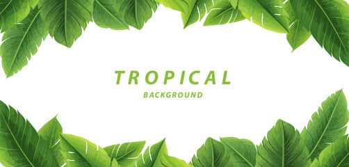 banana leaves tropical border background © fusiangkara