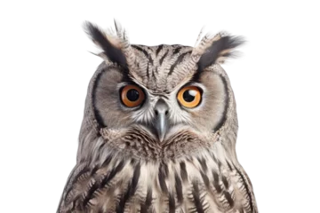 Zelfklevend Fotobehang Artful Avian Majesty Owl Realism on Transparent Background, PNG, Generative Ai © TheLogoTip