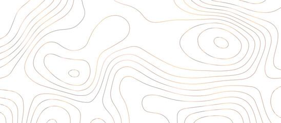 Panorama view gradient multicolor wave curve lines banner background design. Vector illustration. wave Line topography map contour background .Abstract Topographic map background with wave line.