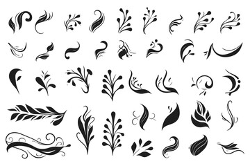 Set of silhouettes of branches and leaves. Hand drawn vector botanical elements. Floral elements - obrazy, fototapety, plakaty