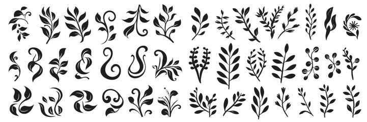 Set of elegant silhouettes of flowers, branches and leaves. Thin hand drawn vector botanical elements - obrazy, fototapety, plakaty