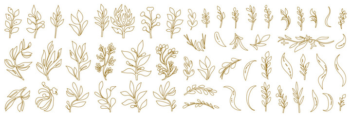 Set of tiny wild flowers and plants line art vector botanical illustrations. Trendy greenery hand drawn black ink sketches collection