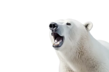 Foto auf Alu-Dibond Realistic 8K Polar Bear on Transparent Background, PNG, Generative Ai © TheLogoTip