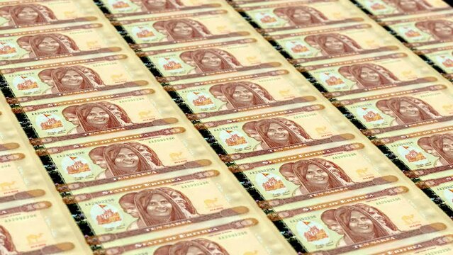 Eritre Eritrean Nakfa 10 Banknotes Money Printing House, Printing Ten Eritrean Nakfa, Printing Press Machine Print out Eritrean Nakfa, Being printed by currency press machine 10 Eritrean