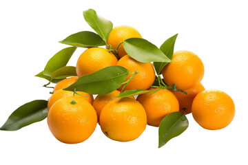 Oranges on a transparent background