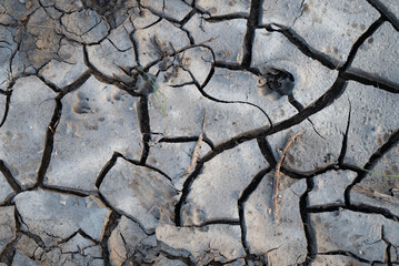 Obraz premium The ground is cracked. Drought. Climate change.
