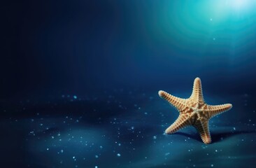 Obraz na płótnie Canvas starfish on the water.