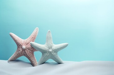 Fototapeta na wymiar two starfish on blue background