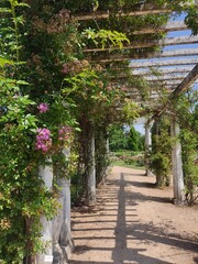 botanical garden of Lyon France