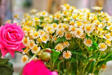 Mixed colorful flowers background. Vibrant colors of mixed flowers backdrop