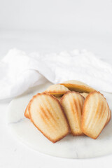 Lemon vanilla madeleines on a white plate, plain french vanilla madeleine cake or cookies
