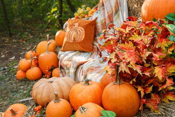 Obraz premium Beautiful autumn location with pumpkins, Halloween