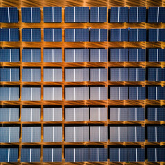 Solar panels at a solar farm in the desert. Photovoltaic technology for sustainability, renewable and clean energy, and a sustainable planet, leading the energy transition