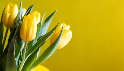 Naklejka premium Yellow tulips in a yellow vase, with a yellow background