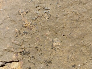 Stone surface wall texture background 