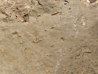 stone wall texture