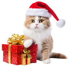 Cute Christmas Cat